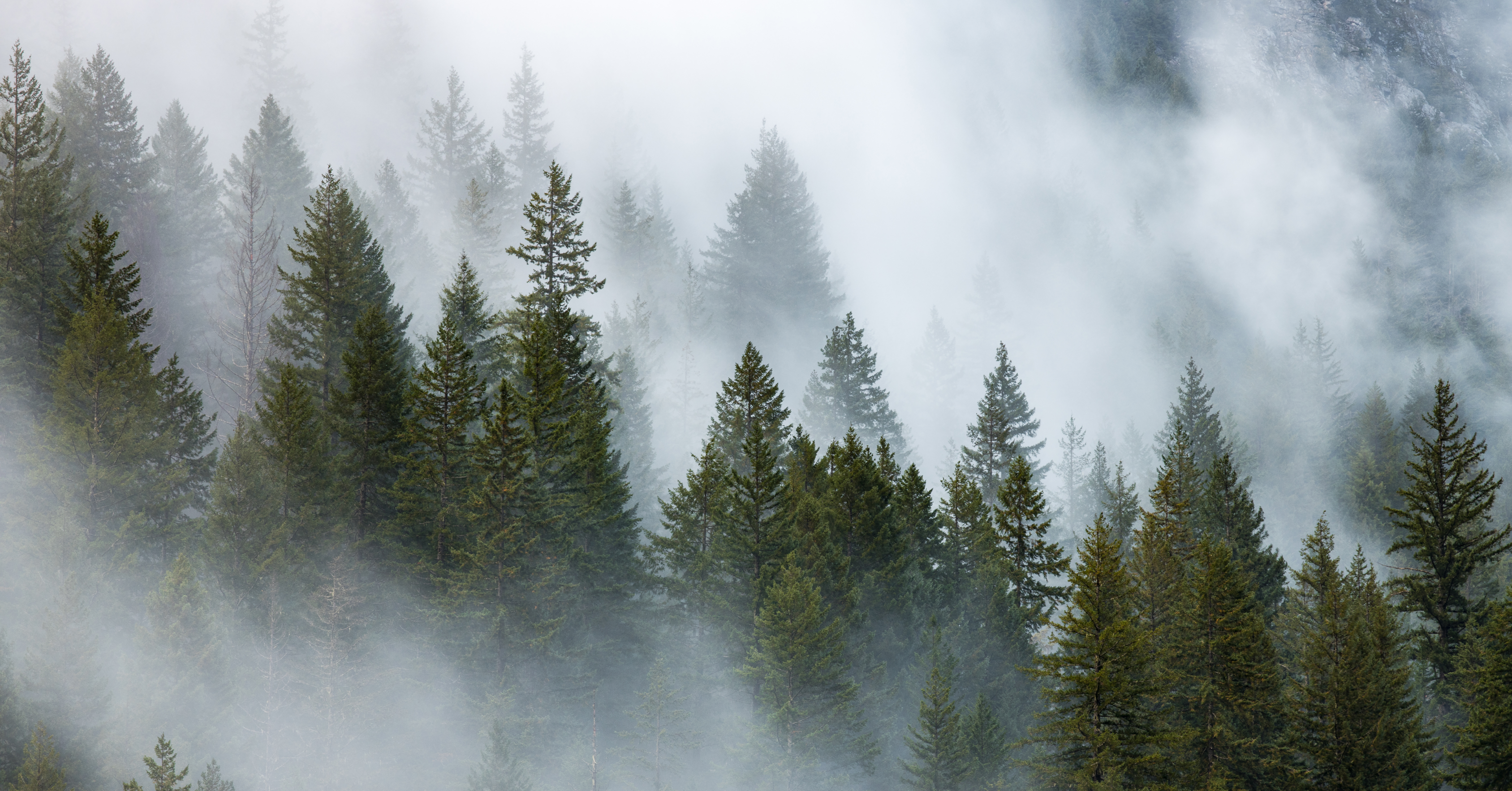 Descubriendo la Armonía Natural: Compromiso Ambiental en el Mes de la Tierra